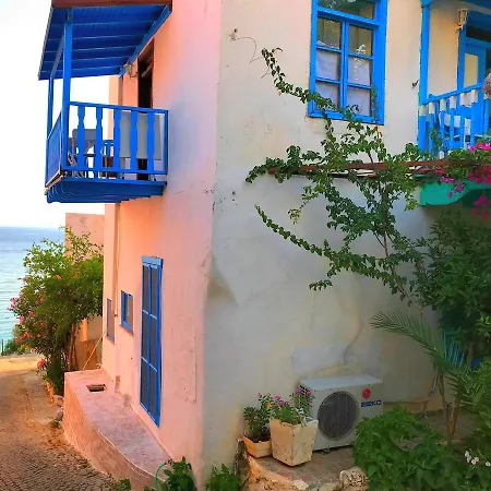 Vakantiehuis Green House